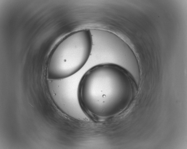 X0000064720912200602101120