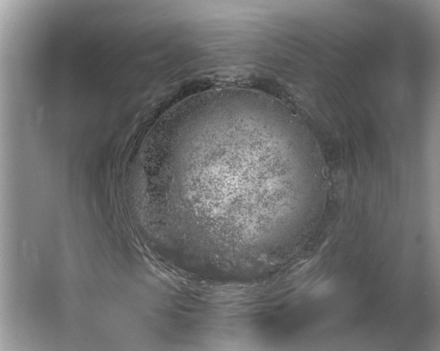 X0000064720913200602101120