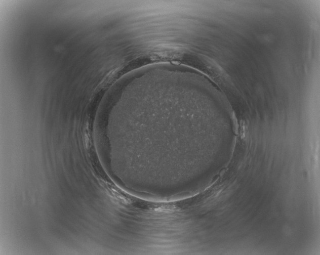 X0000064720915200602101120