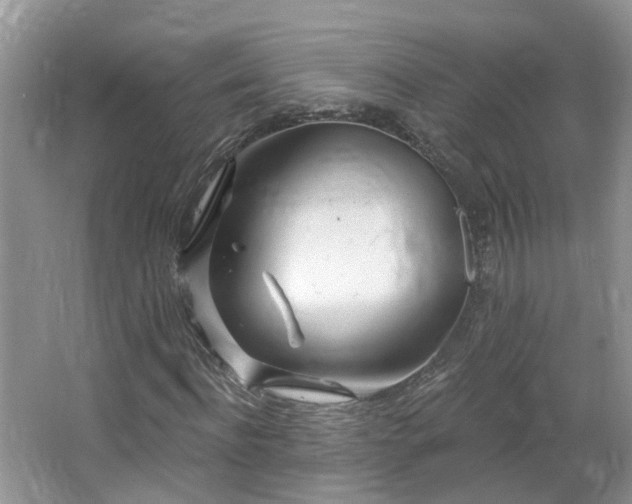 X0000064720916200602101120