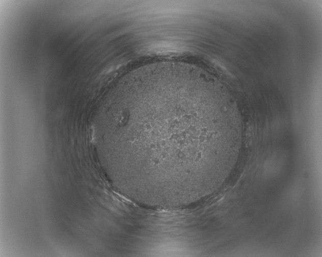 X0000064720917200602101120