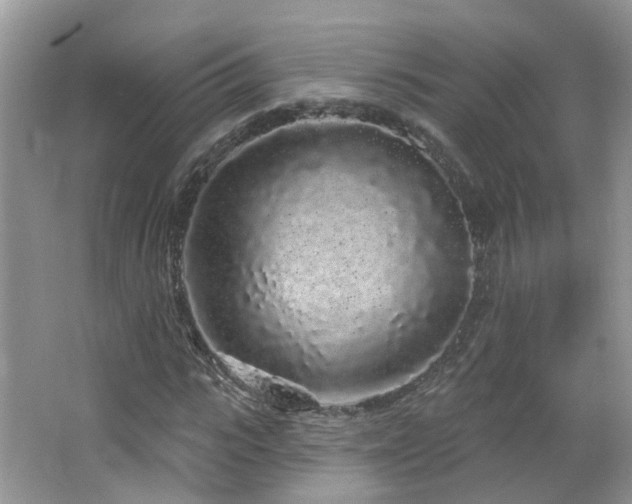 X0000064720919200602101120