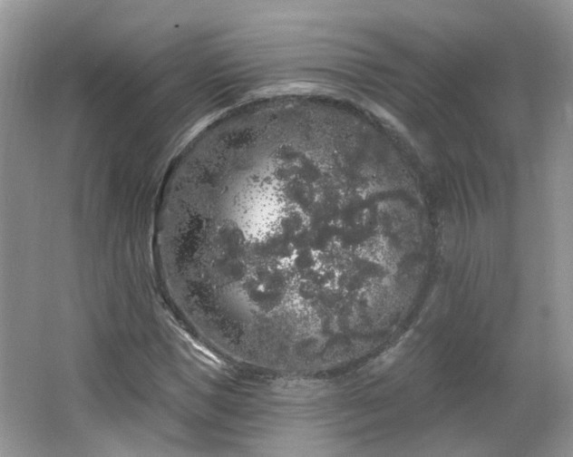 X0000064720921200602101120