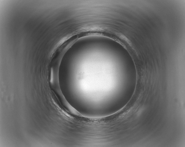 X0000064720922200602101120