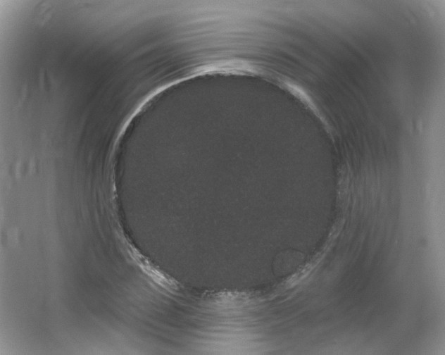 X0000064720923200602101120