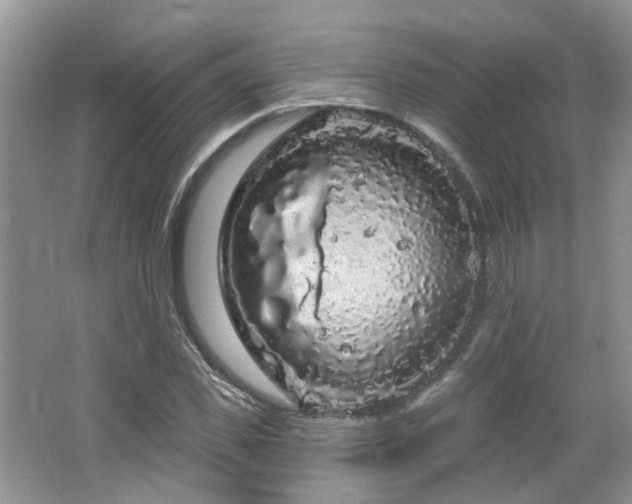 X0000064720925200602101120