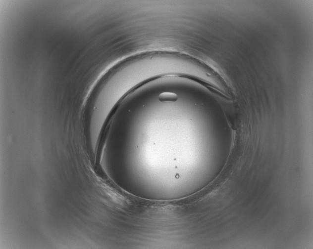 X0000064720926200602101120