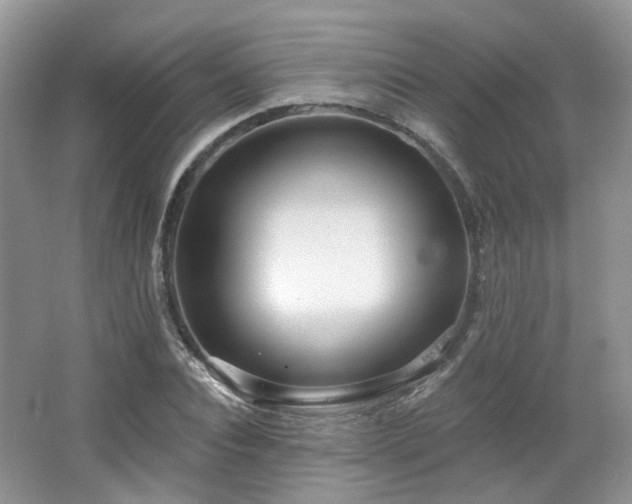 X0000064720928200602101120