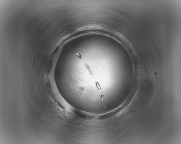 X0000064720929200602101120