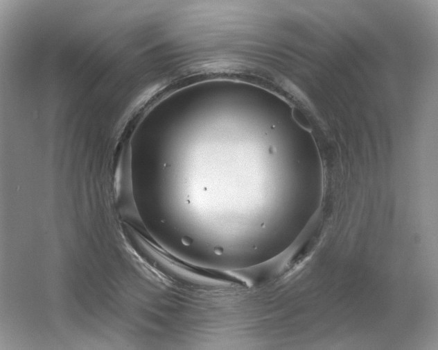 X0000064720930200602101120