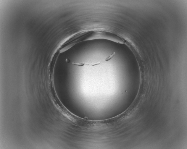 X0000064720933200602101120