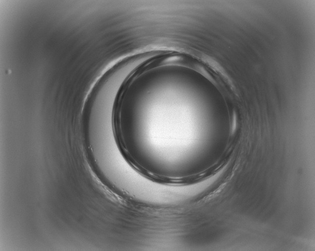 X0000064720934200602101120