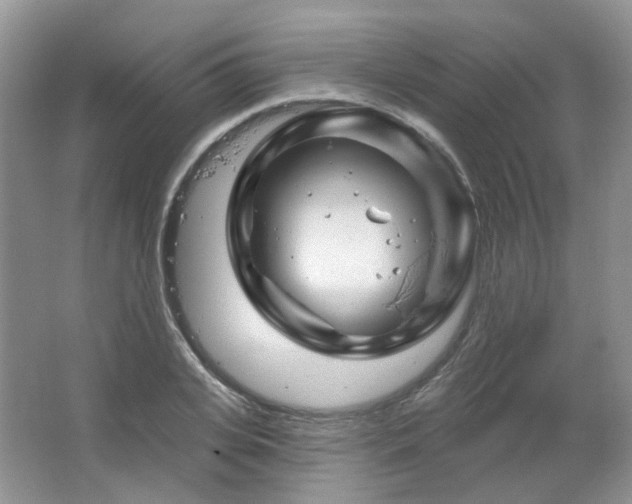 X0000064720935200602101120