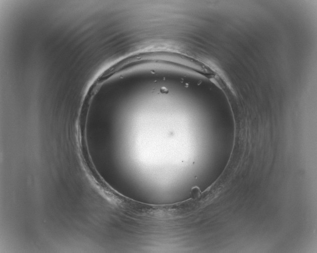 X0000064720936200602101120