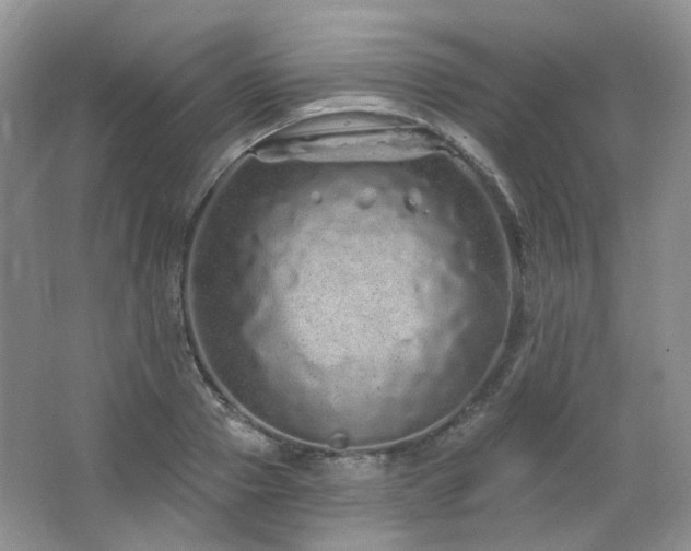 X0000064720937200602101120