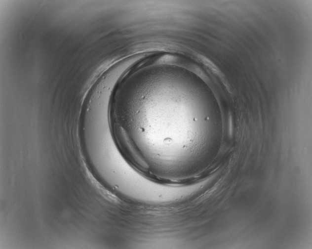 X0000064720938200602101120