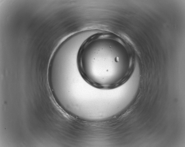 X0000064720940200602101120