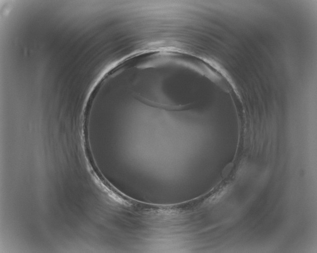 X0000064720941200602101120