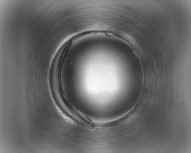 X0000064720942200602101120