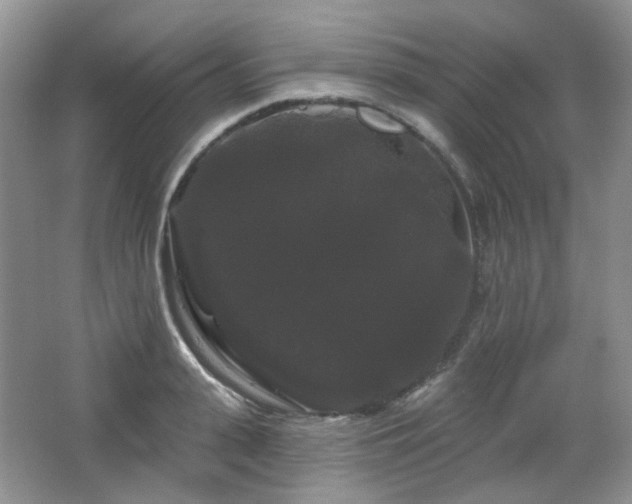 X0000064720943200602101120