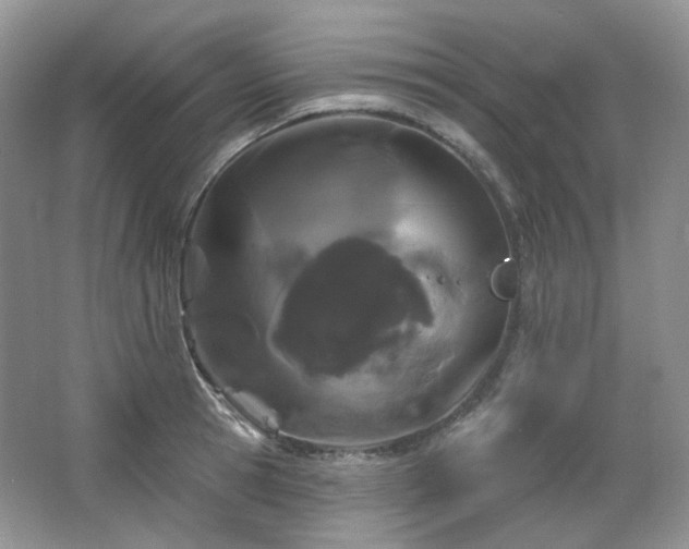 X0000064720945200602101120