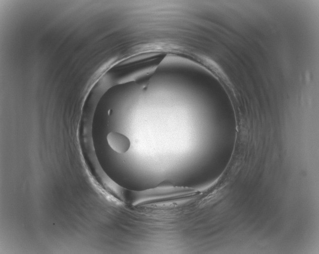 X0000064720946200602101120