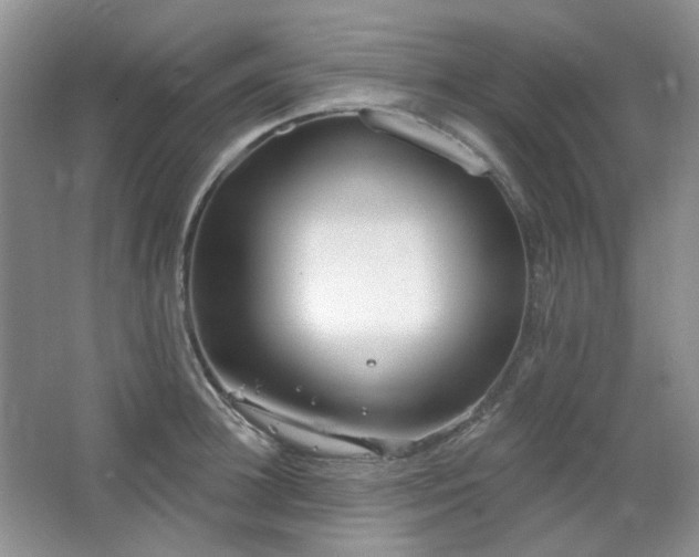 X0000064720948200602101120