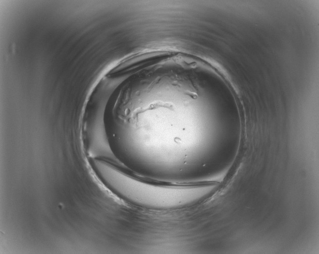 X0000064720949200602101120