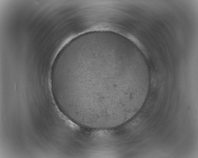 X0000064720950200602101120