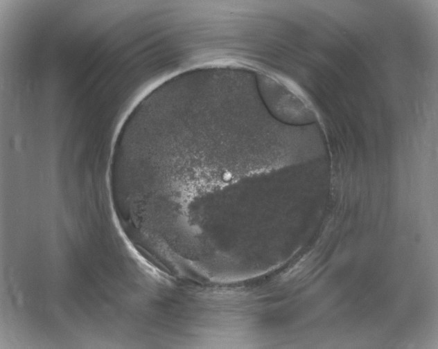 X0000064720951200602101120