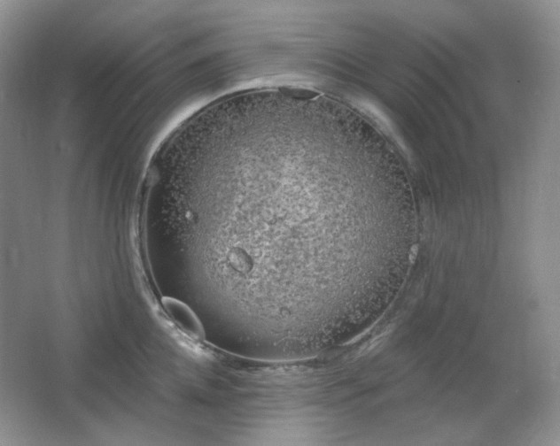 X0000064720952200602101120