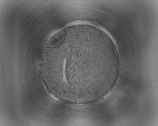 X0000064720953200602101120