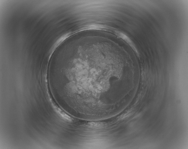 X0000064720954200602101120