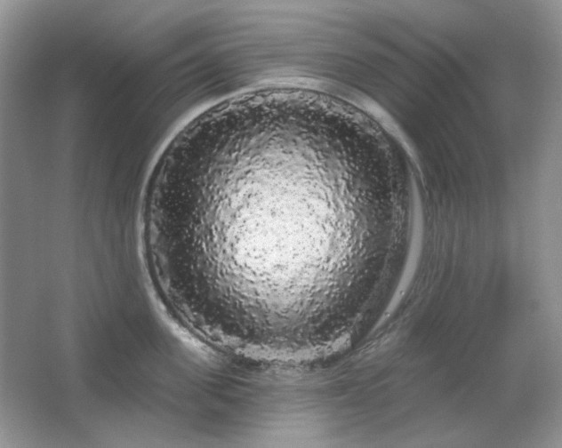 X0000064720955200602101120