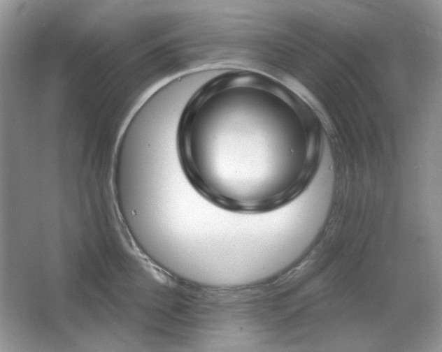 X0000064720956200602101120