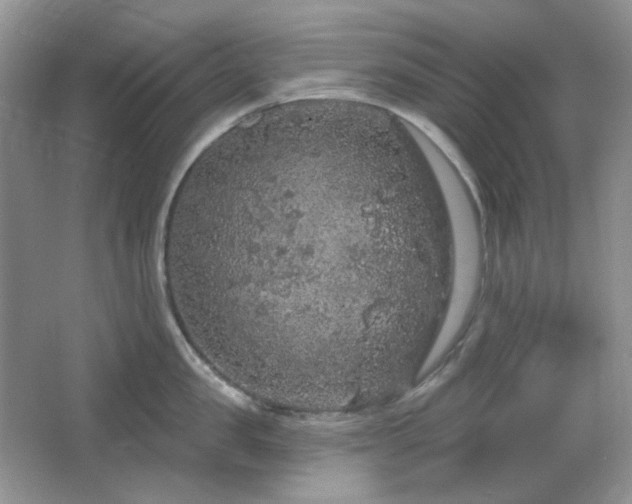 X0000064720957200602101120