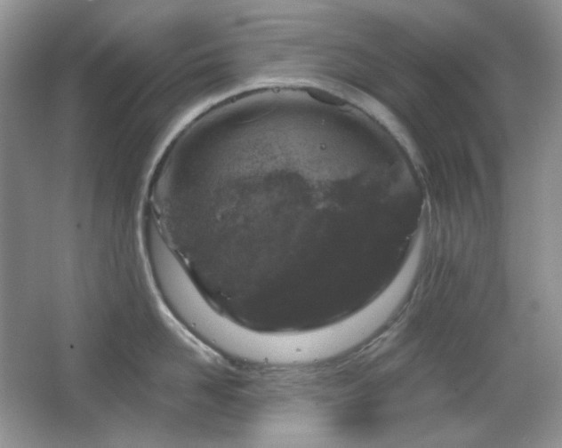 X0000064720958200602101120