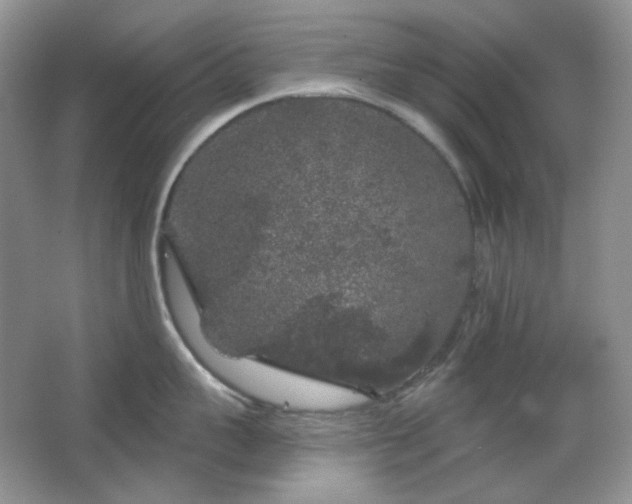 X0000064720959200602101120