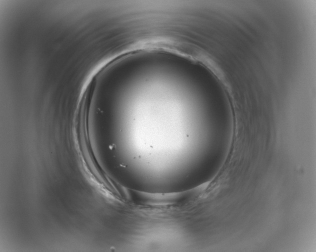 X0000064720960200602101120