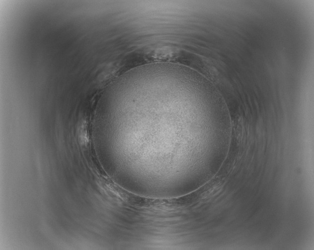 X0000064720962200602101120