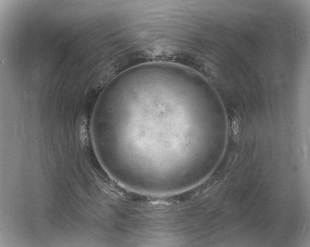 X0000064720963200602101120