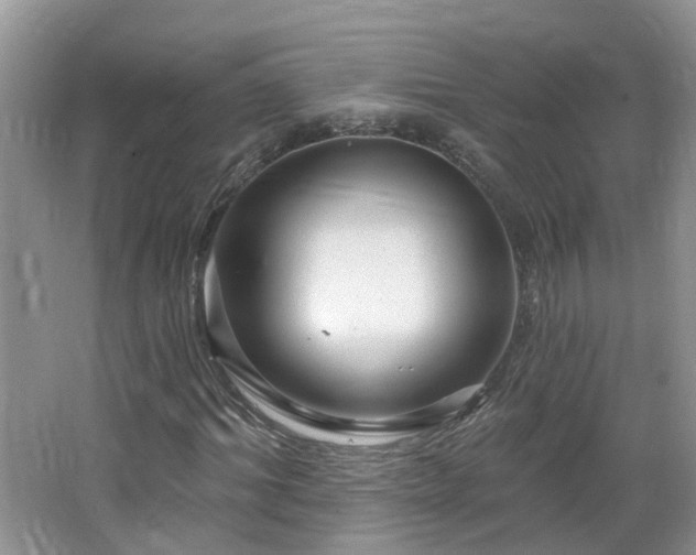 X0000064720964200602101120