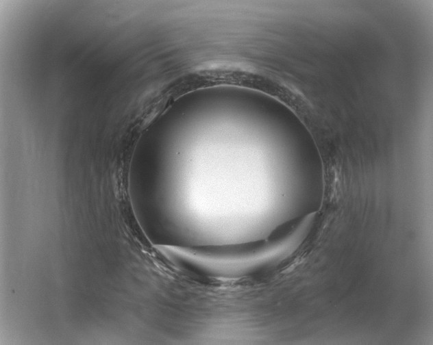 X0000064720965200602101120