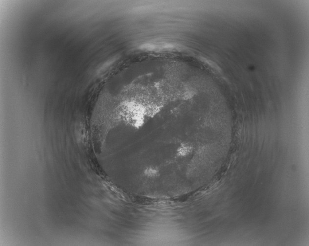 X0000064720966200602101120