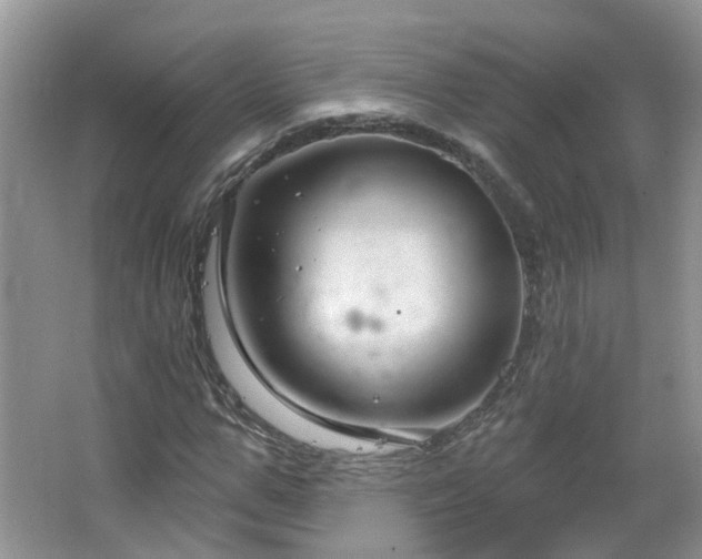 X0000064720967200602101119