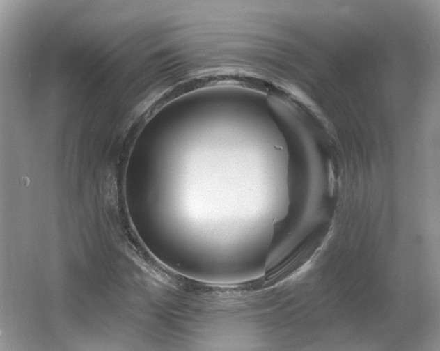 X0000064720969200602101119