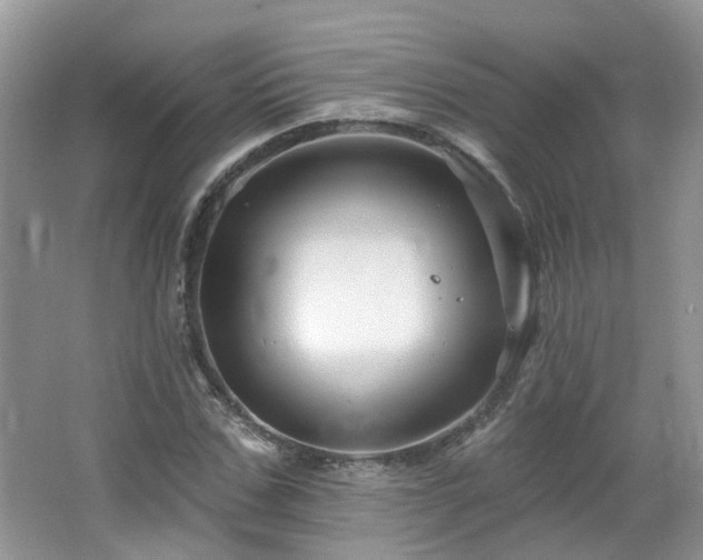 X0000064720971200602101119