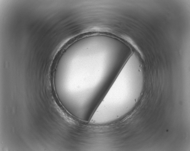 X0000064720972200602101119