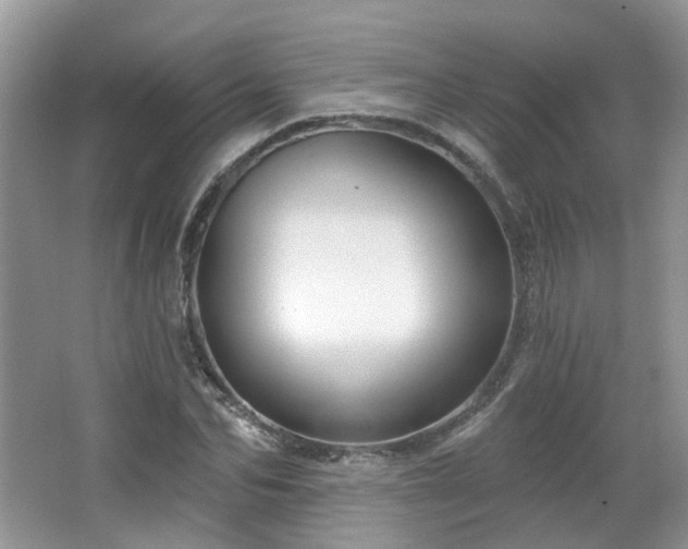 X0000064720974200602101119