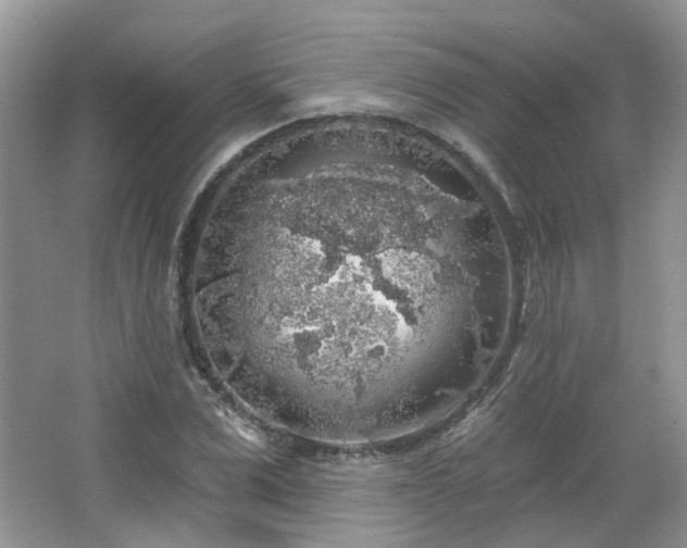 X0000064720975200602101119